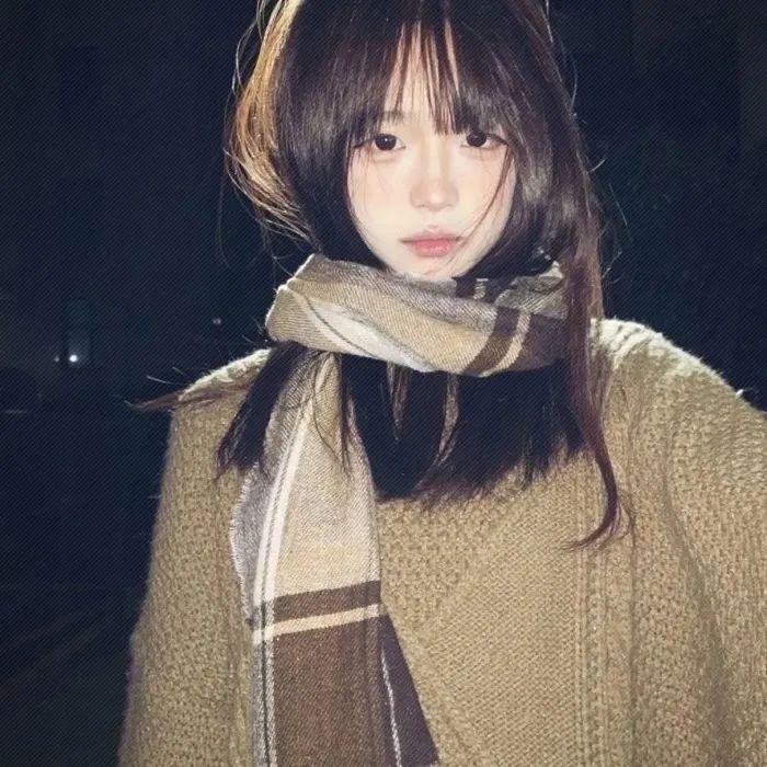 大使阁下的料理人海报