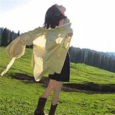 内部敌人海报